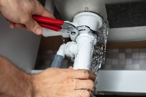 Best Flood damage cleanup  in Milton, WV