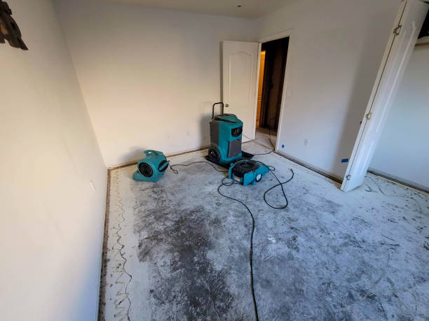 Best Sewage cleanup and water damage restoration  in Milton, WV