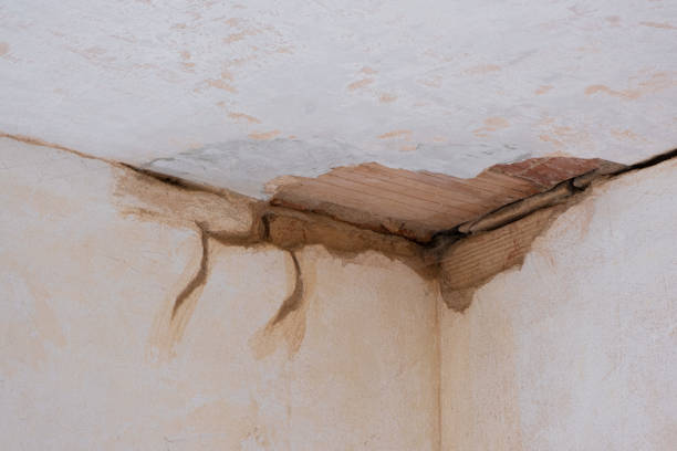 Trusted Milton, WV Water damage restoration Experts