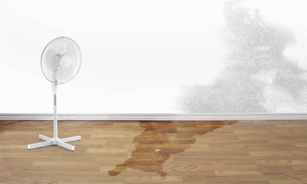 Best 24-hour water damage restoration  in Milton, WV