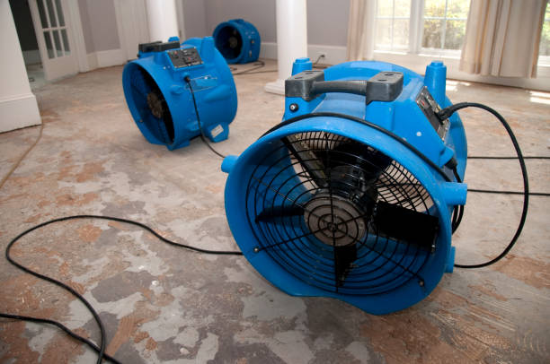 Best Fire Damage Restoration  in Milton, WV