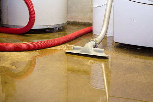 Sewage cleanup and water damage restoration in Milton, WV