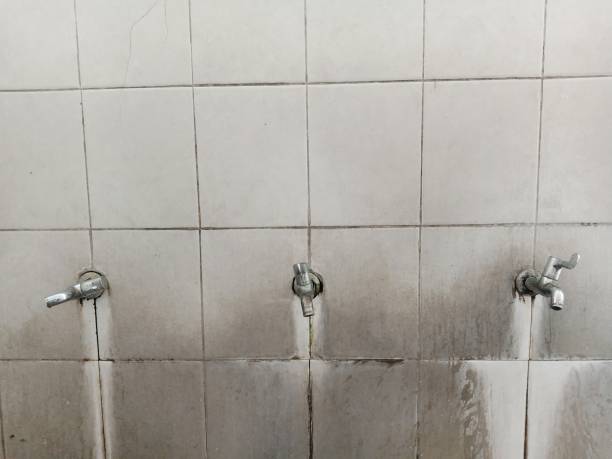 Best 24-hour water damage restoration  in Milton, WV