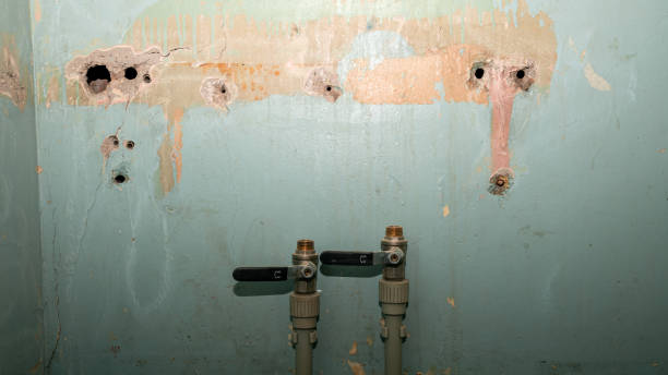 Best Ceiling water damage repair  in Milton, WV