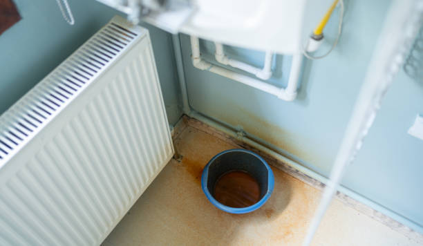 Best Carpet water damage restoration  in Milton, WV