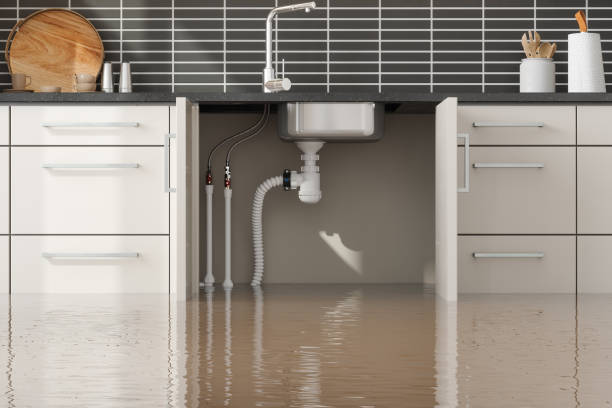 Water damage restoration experts in Milton, WV