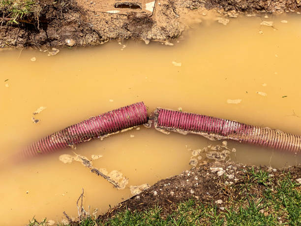 Best Residential water damage restoration  in Milton, WV