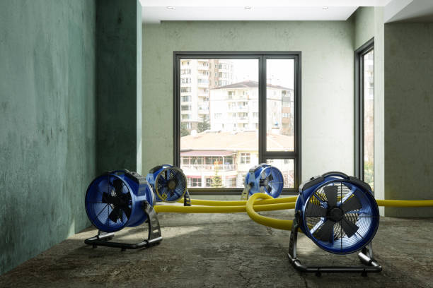 Best Flood restoration services  in Milton, WV